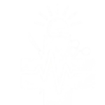 Image removebg preview 150x150